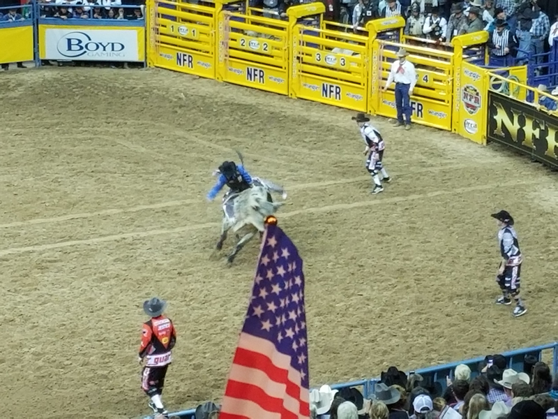 Illustration for article titled Last Night in Vegas Rodeo Review